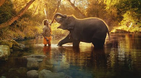 The Elephant Whisperers scores Oscar nomination in Best Documentary ...