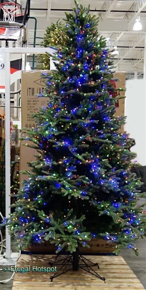 Costco Christmas Trees 7.5', 9', and 12' (2023) | Frugal Hotspot