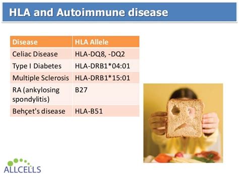 Donor HLA Typing 101