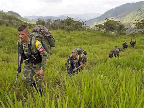 Farc: Meet Colombia's rebel fighters preparing for peace after more ...