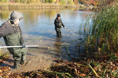 Humboldt Park Friends Volunteers maintain lagoon shoreline | Humboldt ...