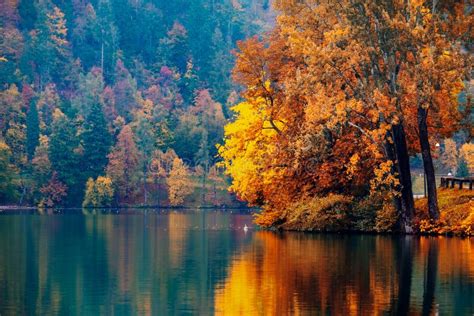 6,224 Autumn Lake Bled Stock Photos - Free & Royalty-Free Stock Photos ...