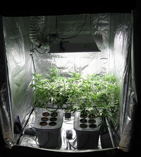 Examples of Common Cannabis Grow Setups | Grow Weed Easy