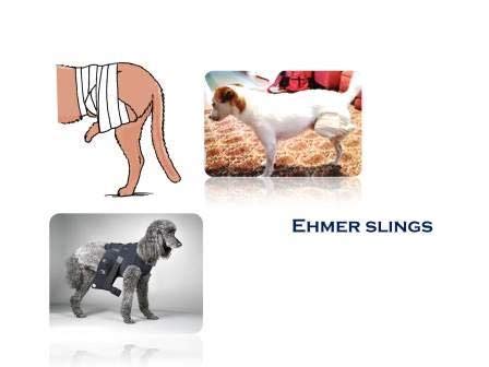 Buy innovation India Bandage Relaxation Alternative Ehmer Sling for All Pets Online at Low ...