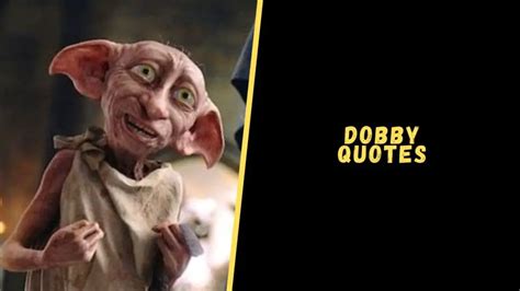 Top 17 Beautiful Quotes From Dobby That Are Heart-Touching