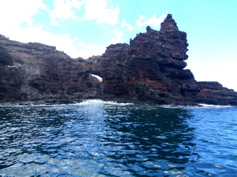 Lanai snorkeling! — Island Star Excursions