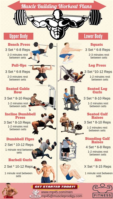 There are many people who are following #muscle_building workout plans, but most … | Muscle ...