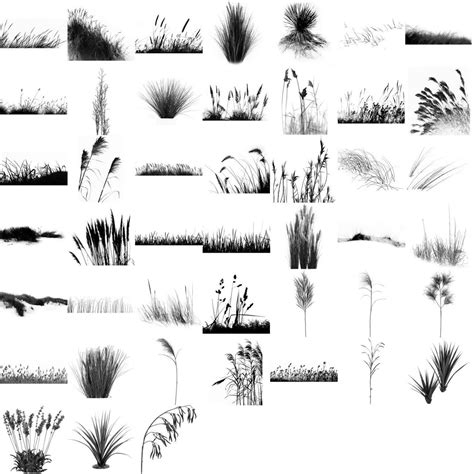 AnatoRef — Leaves of Grass Top Image Row 2 Row 3 Row 4: Left ...