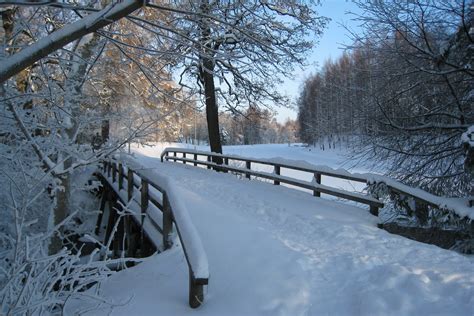 Free Images : branch, frost, weather, snowy, season, winter landscape, blizzard, channel ...