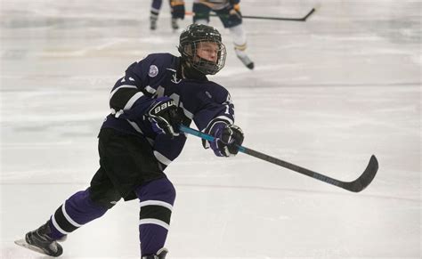 See updated regional schedule for Ann Arbor-area hockey teams - mlive.com