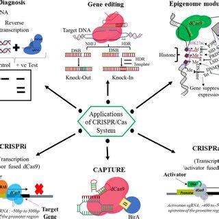 -Applications of CRISPR/Cas technology. | Download Scientific Diagram