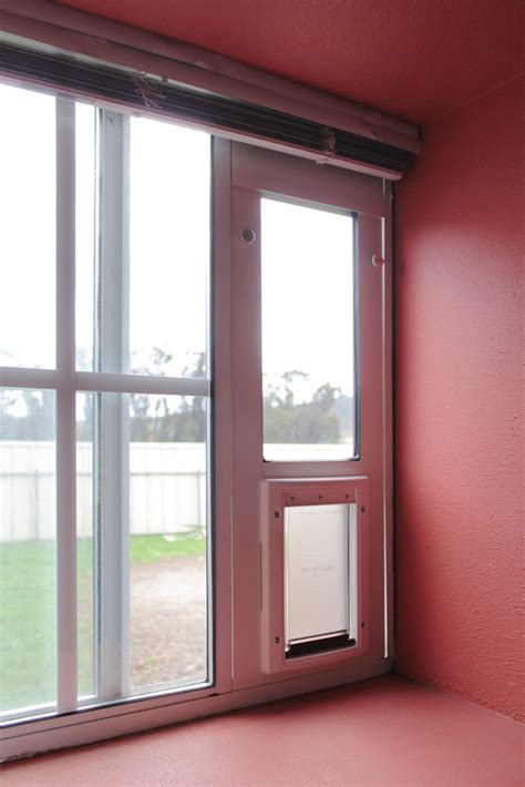 PetSafe Horizontal Window Pet Door - Cat Doors For Windows - Cat Flaps and Doors - Pet Doors ...