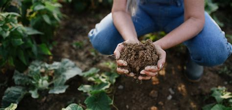 What is Regenerative Farming? - One Tree Planted