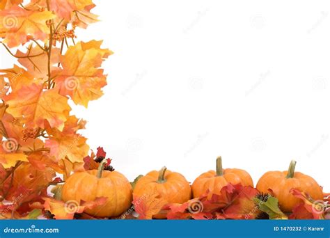 Pumpkins With Fall Leaves Stock Photography - Image: 1470232