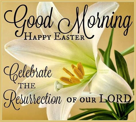 Good Morning Happy Easter | Happy easter quotes, Happy easter sunday ...