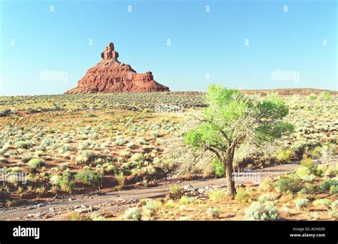 Mesas and Buttes Valley of the Gods Utah Stock Photo - Alamy