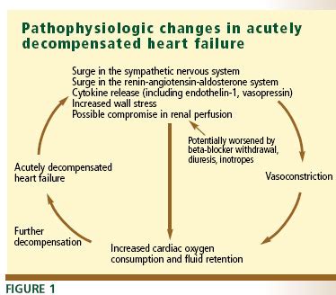 welderlyba - congestive heart failure prognosis and treatment