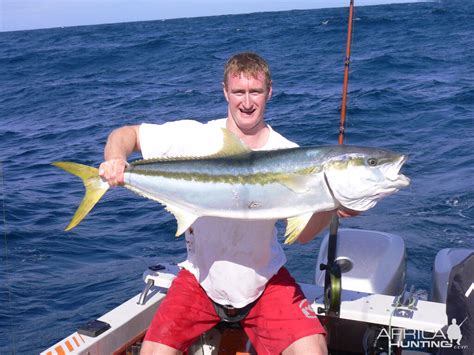 South Africa Fishing Yellowtail Amberjack | AfricaHunting.com