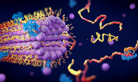 New AI model to make enzyme engineering more efficient