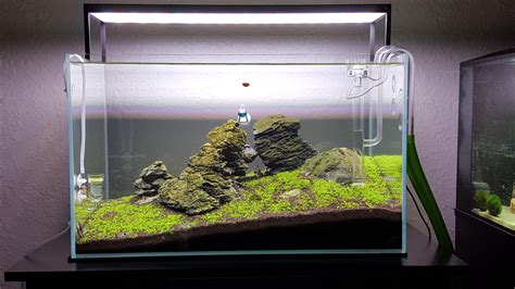 [FTS] First Aquarium - Iwagumi : r/PlantedTank