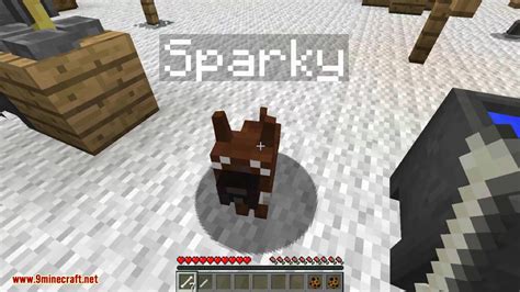 DoggyStyle Mod 1.8.9/1.7.10 (Dog Breeds, Dog House) - 9Minecraft.Net