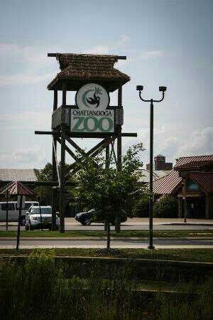 Chattanooga Zoo | Chattanooga zoo, Chattanooga tennessee, Chattanooga