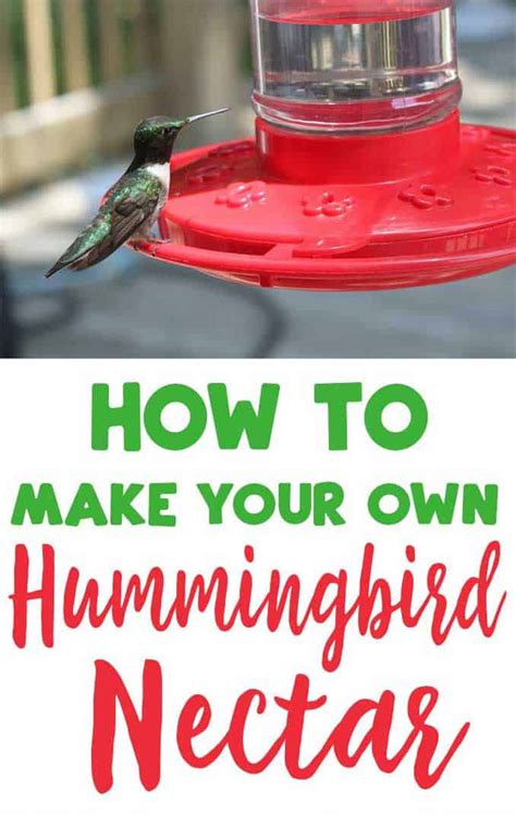 Homemade Hummingbird Nectar Recipe | The Happier Homemaker