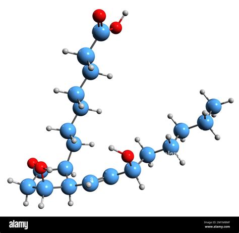 3D image of Prostaglandin E1 skeletal formula - molecular chemical ...