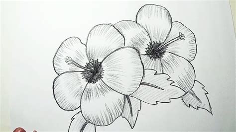 Pencil Drawing Pictures Of Flowers