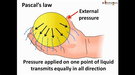 Physics - Fluid pressure and Pascal's law - English - YouTube