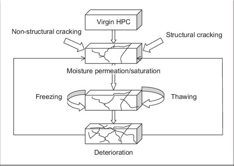 Freeze Thaw Diagram