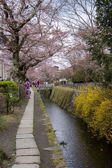 The 5 Must See Sakura Locations in Kyoto, Japan | A Happy Passport | Kyoto, Temple gardens, Japan