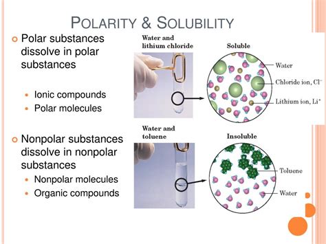 Solubility Polar Vs Nonpolar Worksheet Answers
