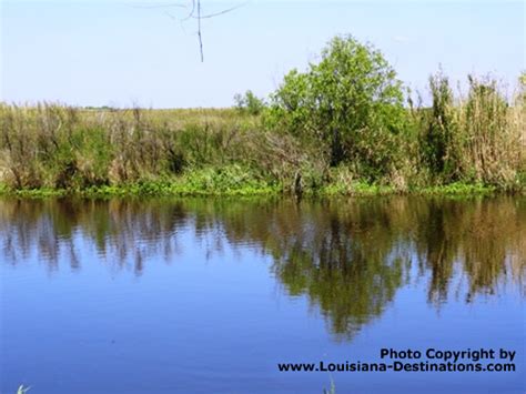 Pecan Island Louisiana travel and tourism information, location, map, history, Forked Island and ...