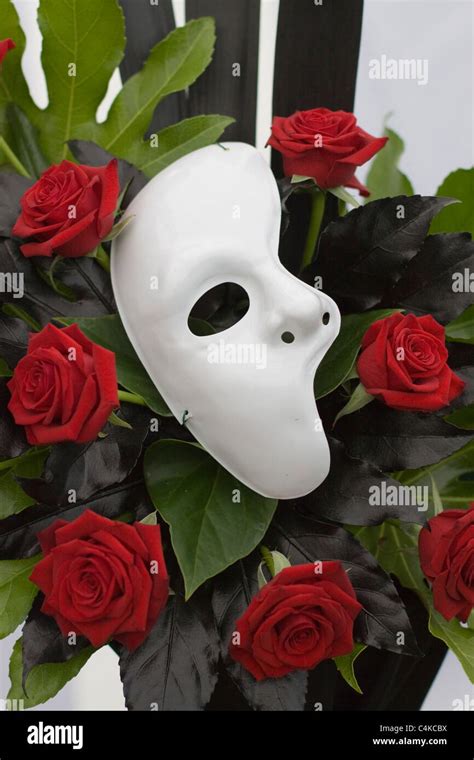 Phantom Of The Opera Rose