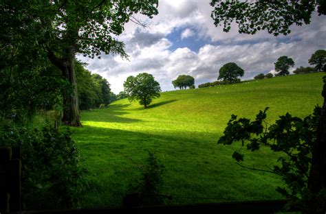 Photo of green open field with trees at day HD wallpaper | Wallpaper Flare