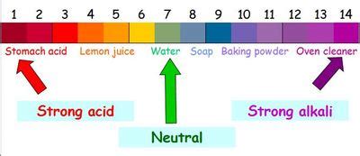 Weak Alkali Examples - astonishingceiyrs