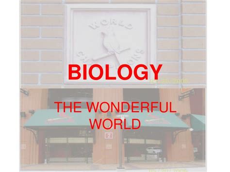 PPT - BIOLOGY PowerPoint Presentation, free download - ID:6240496