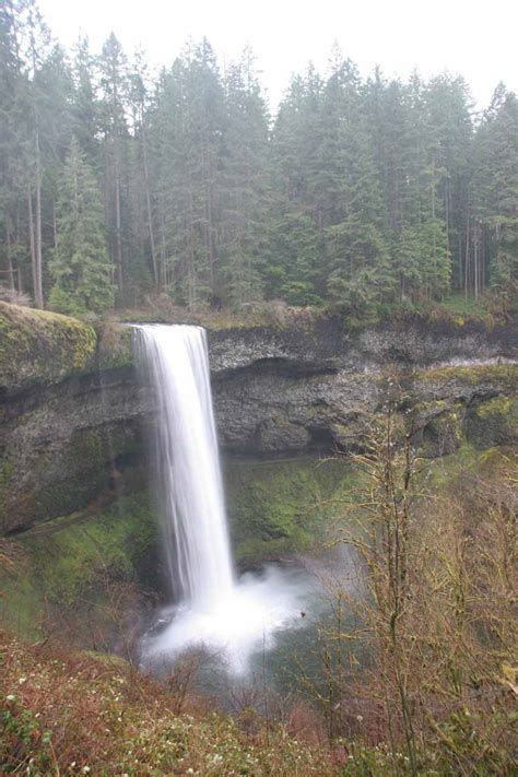 Silver Falls State Park Waterfalls Guide - World of Waterfalls