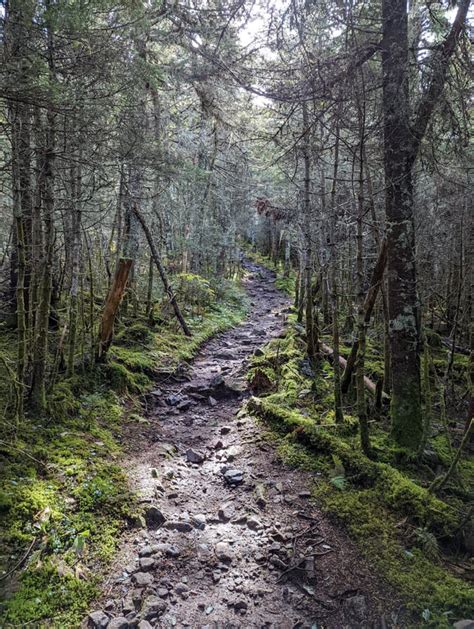 🔥 Sawtooth Mountains, Minnesota : r/NatureIsFuckingLit