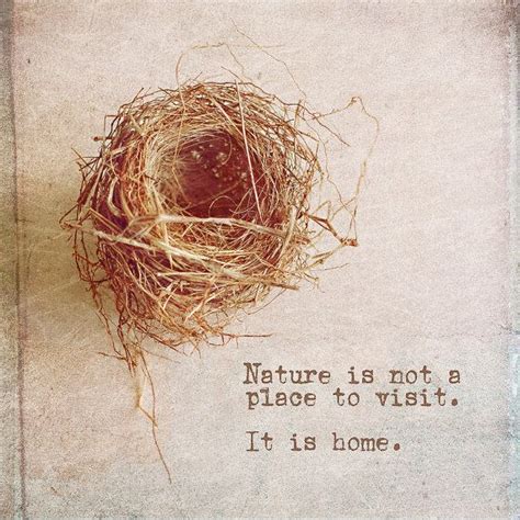 Nest Quotes - ShortQuotes.cc