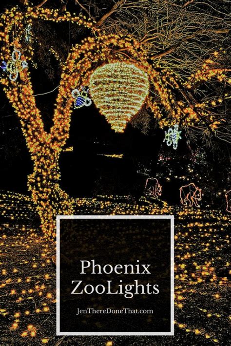 Phoenix Zoo Lights | Winter Holiday Tradition