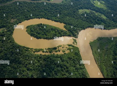 Aerial view of river meander and formation of ox-bow lake, in Amazon "várzea" Rainforest during ...