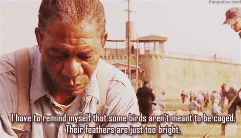 The Shawshank Redemption (1994) Quote (About gif free caged birds ...