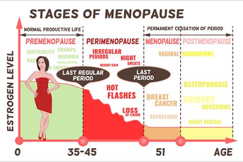 Stages and symptoms of menopause ~ Illustrations ~ Creative Market