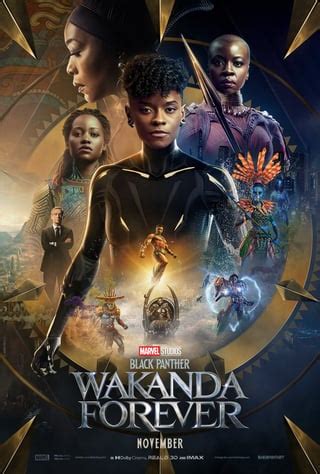 Black Panther: Wakanda Forever poster design. Art by: bakikaya.art : r/marvelstudios