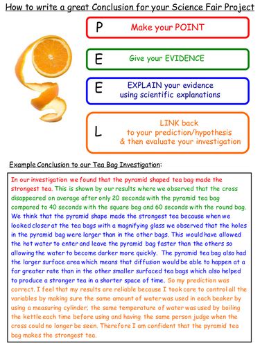 🎉 Science fair conclusion. Science Fair Conclusion Worksheets. 2019-01-14