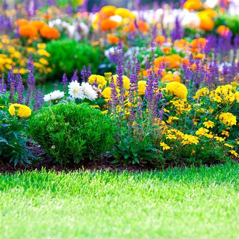 Our Favorite Flower Bed Ideas for Full Sun | Family Handyman