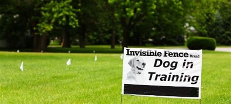 Create Your Own Invisible Fence | DoItYourself.com