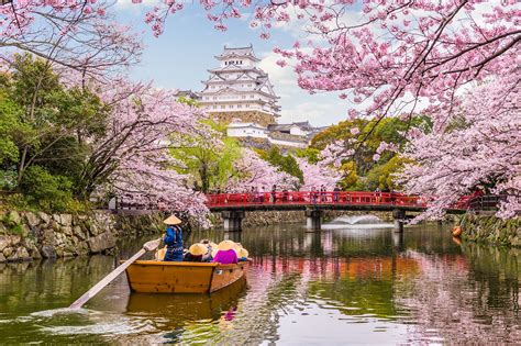 11 Best Things to Do in Kobe - What is Kobe Most Famous For? – Go Guides